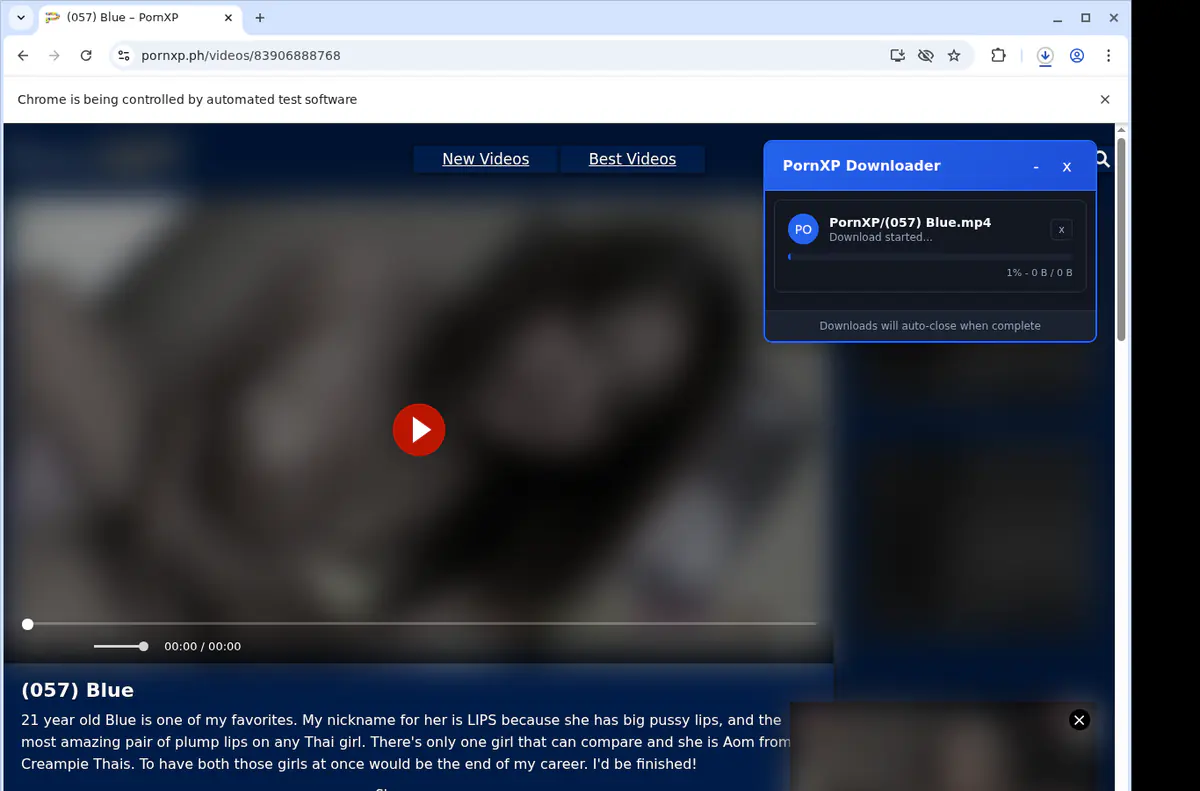 Pornxp Video Downloader browser extension screenshot 2
