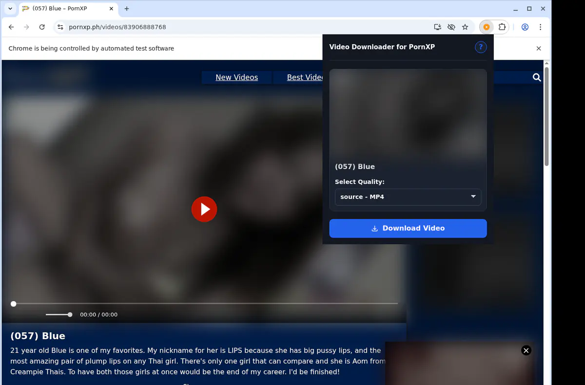 Pornxp Video Downloader browser extension screenshot 3