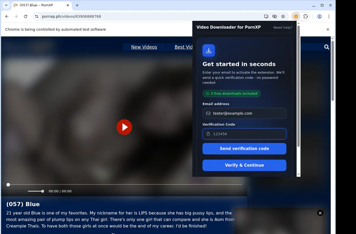 Pornxp Video Downloader browser extension screenshot 4