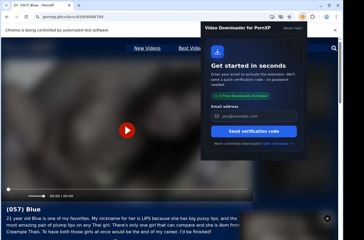 Pornxp Video Downloader browser extension screenshot 5